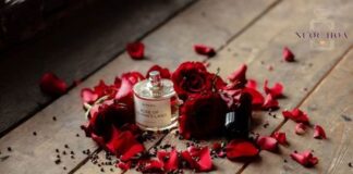 Nước hoa Byredo Rose Of No Man’s Land – Hương vị quyến rũ từ phương Đông Nước hoa Byredo Rose Of No Man's Land – Hương vị quyến rũ từ phương Đông