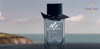 Review nước hoa Mr. Burberry – Lịch lãm, tinh tế, nam tính Review nước hoa Mr. Burberry - Lịch lãm, tinh tế, nam tính